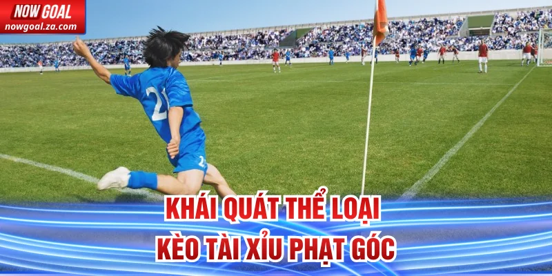 Khái quát thể loại kèo tài xỉu phạt góc